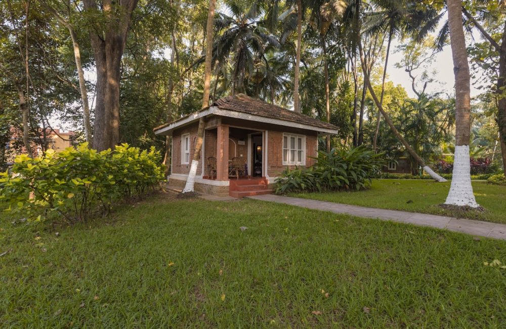 holistic wellness through panchakarma