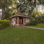 holistic wellness through panchakarma