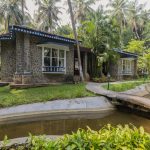 ayurveda for body and mind