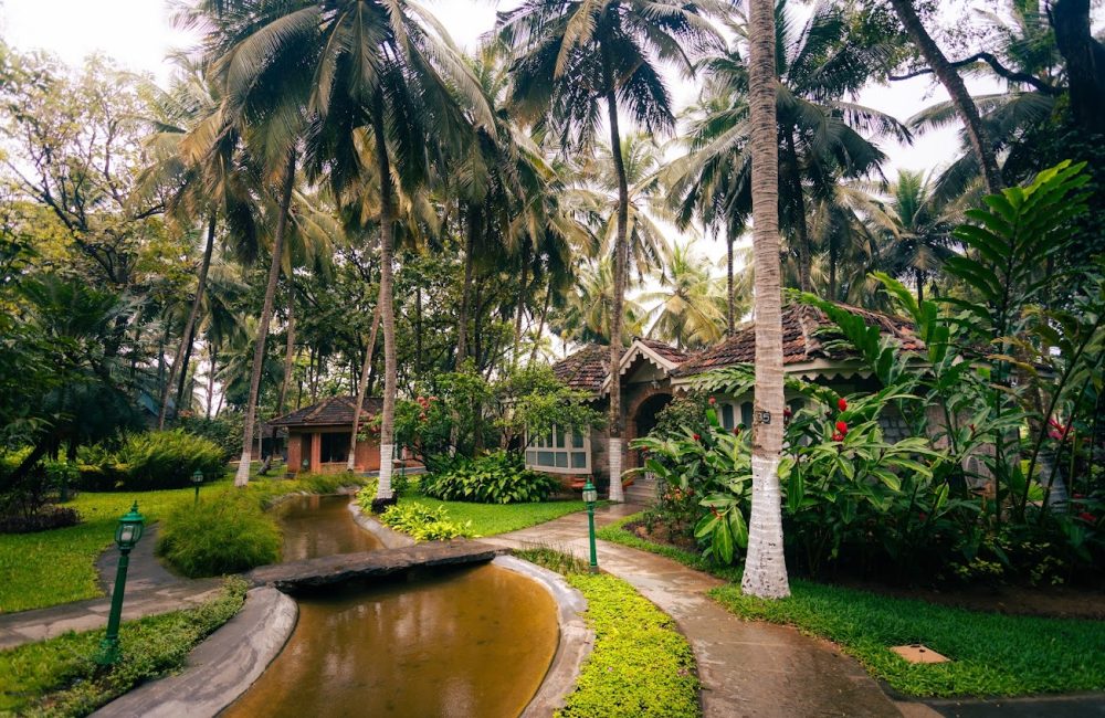 Traditional villa surrounded by lush greenery and water canals at Kairali – The Ayurvedic Healing Village in Kerala during the monsoon season.