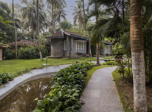 ayurveda as wellness tourism in India