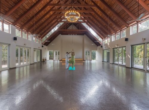 holistic well being through yoga
