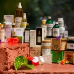 Ayurvedic Herbs That Outperform Modern Medicine