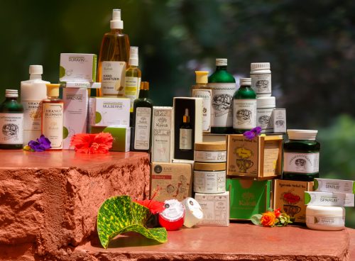 Ayurvedic Herbs That Outperform Modern Medicine