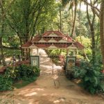 corporate ayurvedic balance for healthy lifestyle