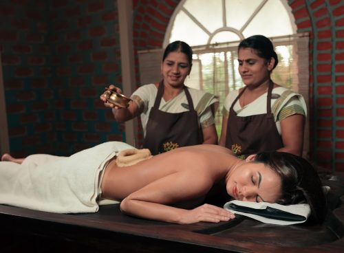 Kerala: The Living Soul of Ayurveda in a Digitally Evolving World