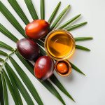 An Ayurvedic Perspective on palm oil
