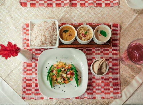 Traditional Ayurvedic vegetarian meal served at Kairali Ayurvedic Health Village with red rice, kitchari, vegetable salad, and herbal sauces.