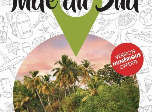 Cover of Petit Futé 2026–2027 South India Travel Guide featuring Kerala houseboats and coconut palm trees.