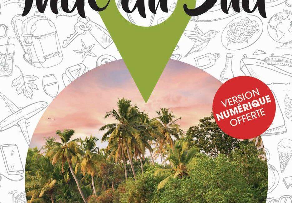 Cover of Petit Futé 2026–2027 South India Travel Guide featuring Kerala houseboats and coconut palm trees.