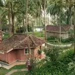 Guest practicing yoga amidst lush greenery at Kairali Ayurvedic Health Retreat Palakkad, the best retreat in Kerala for Ayurveda, yoga, and meditation.