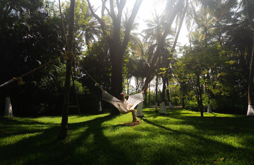 Woman relaxing on a hammock amidst palm trees at Kairali Ayurvedic Healing Village in Kerala