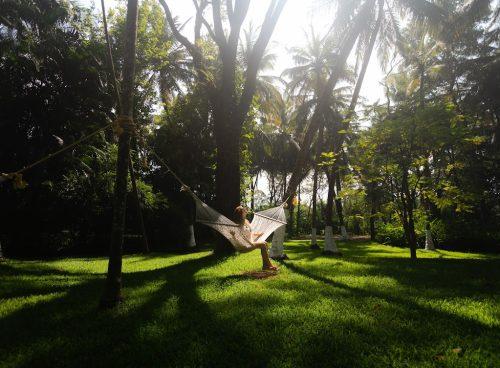 Woman relaxing on a hammock amidst palm trees at Kairali Ayurvedic Healing Village in Kerala