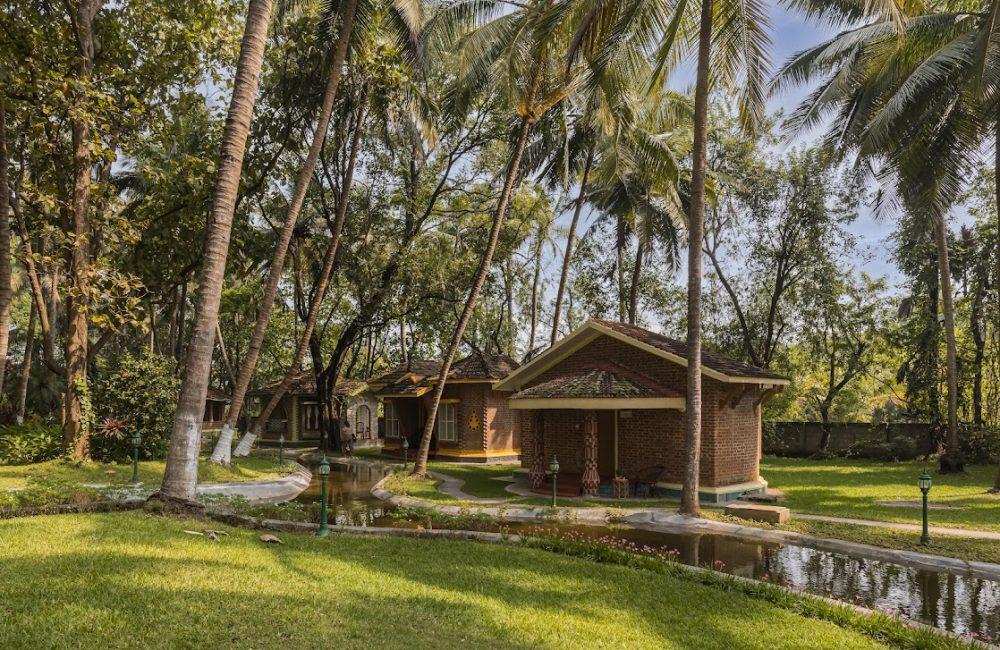 Traditional Ayurvedic cottages surrounded by lush greenery and coconut trees at Kairali Ayurvedic Health Retreat Kerala