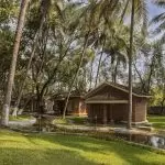 Traditional Ayurvedic cottages surrounded by lush greenery and coconut trees at Kairali Ayurvedic Health Retreat Kerala