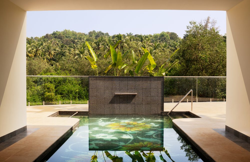 Heated saltwater pool surrounded by tropical greenery at villa raag, goa