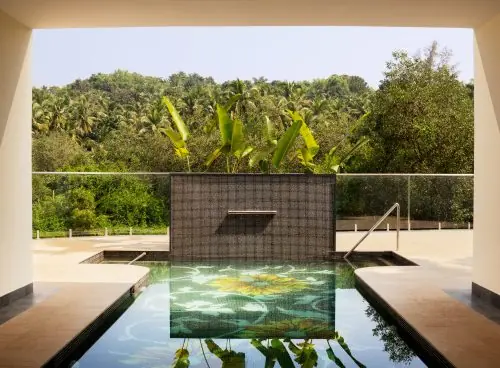 Heated saltwater pool surrounded by tropical greenery at villa raag, goa