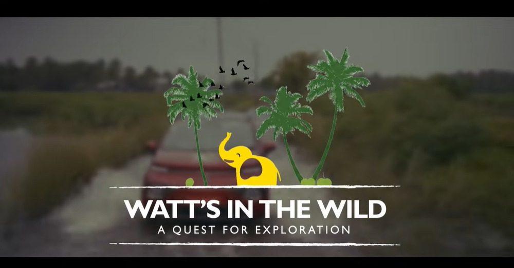 Watt’s In The Wild” title card with an MG vehicle driving through Kerala wetlands, illustrated palm trees and a yellow elephant, text “A Quest for Exploration.