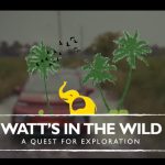 Watt’s In The Wild” title card with an MG vehicle driving through Kerala wetlands, illustrated palm trees and a yellow elephant, text “A Quest for Exploration.