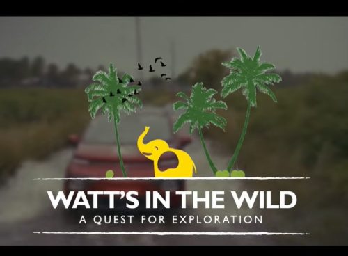 Watt’s In The Wild” title card with an MG vehicle driving through Kerala wetlands, illustrated palm trees and a yellow elephant, text “A Quest for Exploration.