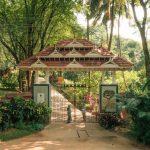 Kerala-style tiled entrance gate of Kairali—The Ayurvedic Healing Village in Palakkad, framed by lush trees, with a pathway and sign visible.