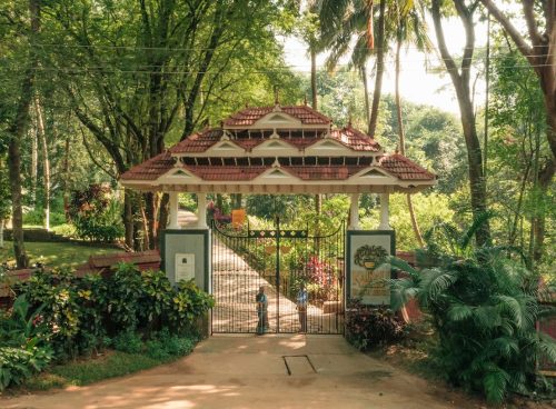 Kerala-style tiled entrance gate of Kairali—The Ayurvedic Healing Village in Palakkad, framed by lush trees, with a pathway and sign visible.