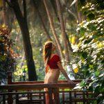 Solo female traveler in red blouse and cream sari on a wooden bridge amid lush palms at Kairali Ayurvedic Palakkad, Kerala, during golden hour.