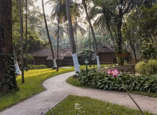 Curved stone pathway through coconut palms leading to traditional red-tiled cottages at Kairali – The Ayurvedic Healing Village in Kerala.