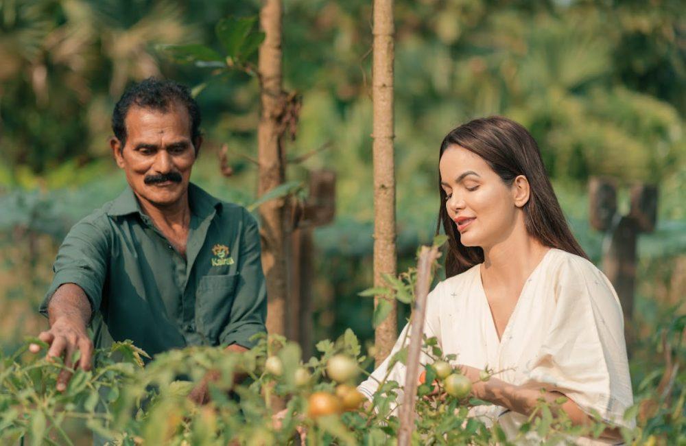 Female guest in an ivory kurta harvesting tomatoes with a Kairali gardener in the organic garden at Kairali—The Ayurvedic Healing Village, Palakkad, Kerala.