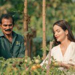 Female guest in an ivory kurta harvesting tomatoes with a Kairali gardener in the organic garden at Kairali—The Ayurvedic Healing Village, Palakkad, Kerala.