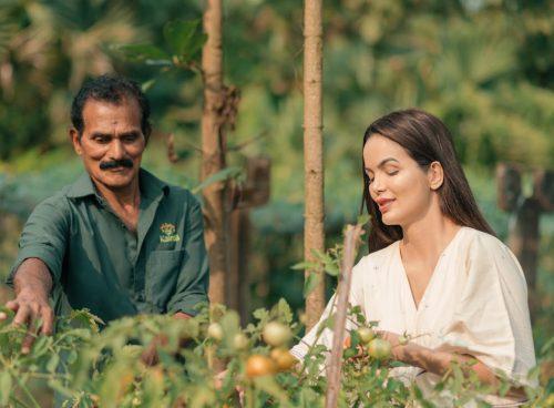 Female guest in an ivory kurta harvesting tomatoes with a Kairali gardener in the organic garden at Kairali—The Ayurvedic Healing Village, Palakkad, Kerala.