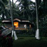 A traditional Kerala-style cottage surrounded by tall coconut palms at dusk, with warm light glowing from a window and a guest standing on the veranda.