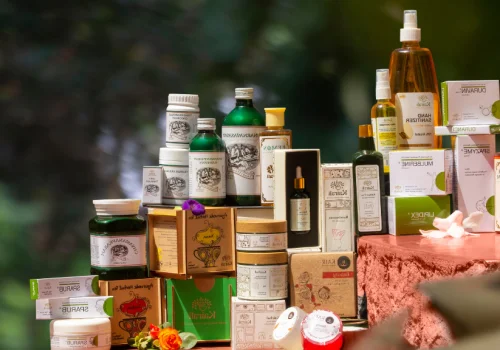 In-house manufacturing of Ayurvedic products with traditional herbal preparation and modern quality control at an Ayurvedic products manufacturer