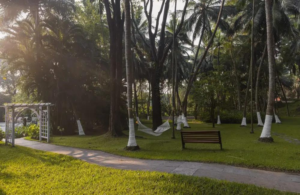 Sunlit tropical garden with palm trees, hammocks, a bench, and a stone pathway in a quiet retreat setting.