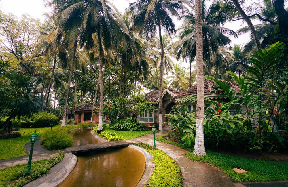 Lush tropical garden pathway at Kairali Ayurvedic Healing Village in Kerala with coconut palms, traditional cottage-style buildings, and a small water channel.