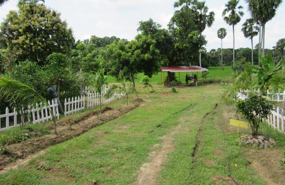 A lush green garden with a grassy path, palm trees, white fence borders, and a small shelter in the distance.
