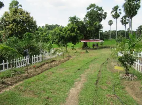 A lush green garden with a grassy path, palm trees, white fence borders, and a small shelter in the distance.