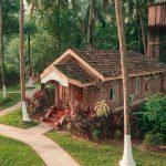 Traditional Kerala-style cottage surrounded by lush greenery at Kairali Ayurvedic Healing Village, a serene holistic wellness retreat
