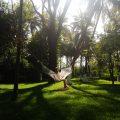Woman relaxing on a hammock amidst lush greenery at Kairali Ayurvedic Healing Village, a serene Kerala Ayurveda destination for holistic wellness and rejuvenation.