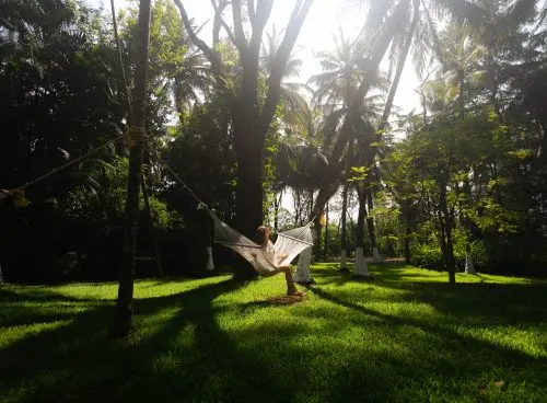Woman relaxing on a hammock amidst lush greenery at Kairali Ayurvedic Healing Village, a serene Kerala Ayurveda destination for holistic wellness and rejuvenation.