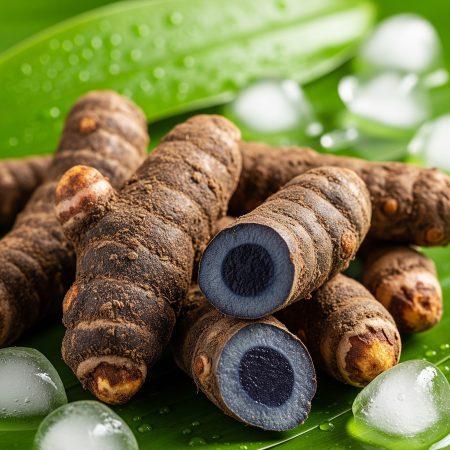 Fresh black turmeric roots displayed on green leaves with ice cubes, highlighting Ayurvedic summer wellness and natural cooling benefits.