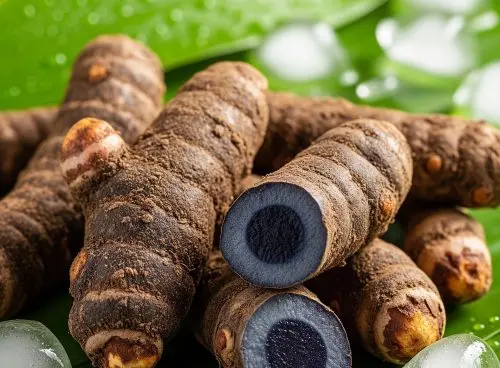 Fresh black turmeric roots displayed on green leaves with ice cubes, highlighting Ayurvedic summer wellness and natural cooling benefits.