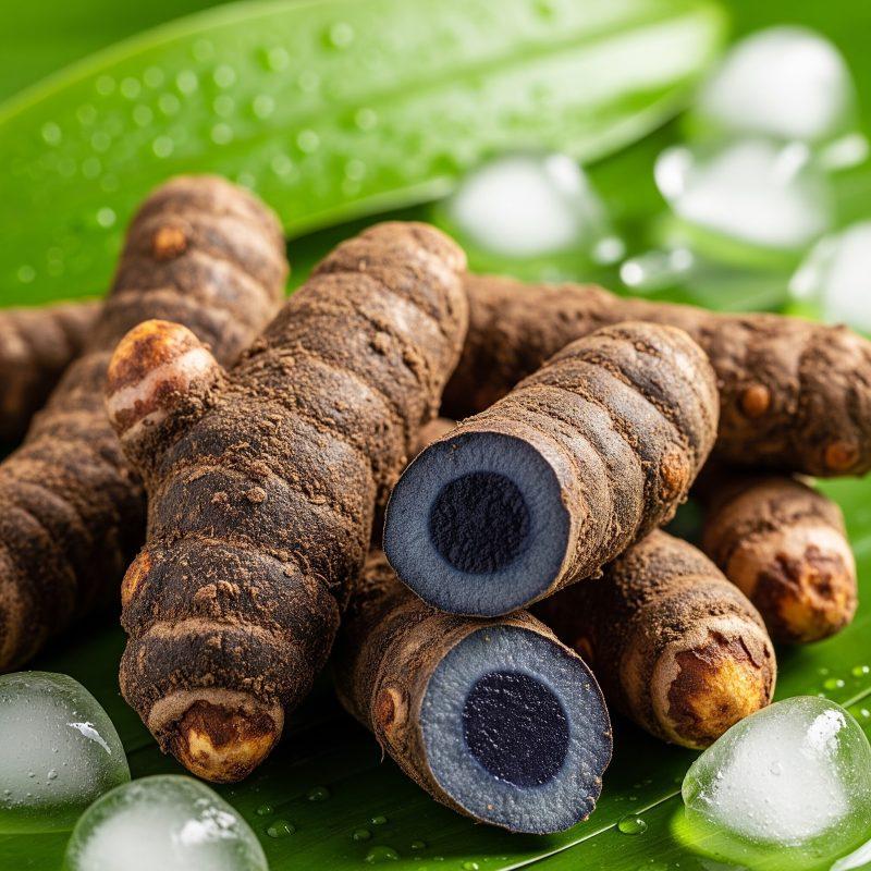 Fresh black turmeric roots displayed on green leaves with ice cubes, highlighting Ayurvedic summer wellness and natural cooling benefits.