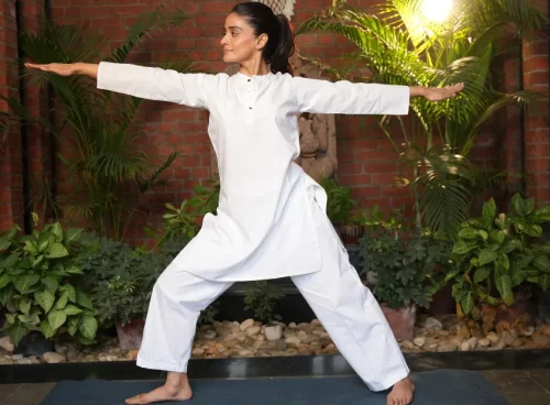 International Yoga Day 2026 yoga session featuring a participant practising a standing yoga posture in a wellness setting