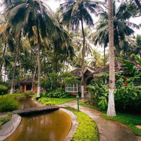 Tiled-roof cottages surrounded by tall coconut palms, connected by a stone pathway that crosses a curved water channel with a flat stone bridge, in a lush tropical garden resort.