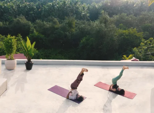 Two people practicing shoulder stand yoga poses on a rooftop terrace surrounded by tropical greenery
