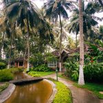 Kairali – The Ayurvedic Healing Village in Kerala, winner at the Global Tourism Excellence Awards 2026