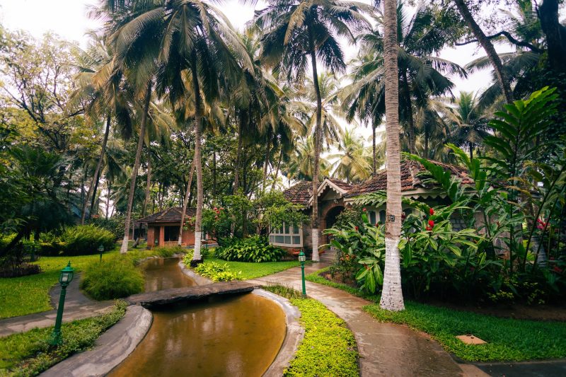 Kairali – The Ayurvedic Healing Village in Kerala, winner at the Global Tourism Excellence Awards 2026