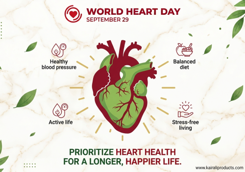 World Heart Day illustration highlighting heart health habits including a balanced diet, active living, stress management and healthy blood pressure.