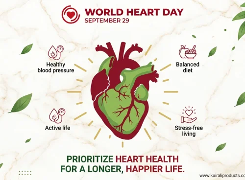 World Heart Day illustration highlighting heart health habits including a balanced diet, active living, stress management and healthy blood pressure.